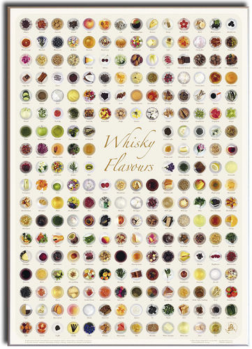 Whisky Flavours Collection - Canvas