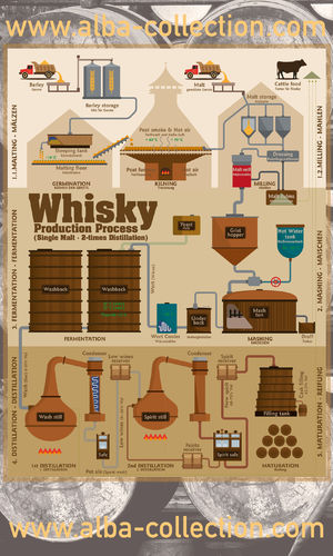 Whisky Production Process - RollUP 200x120cm